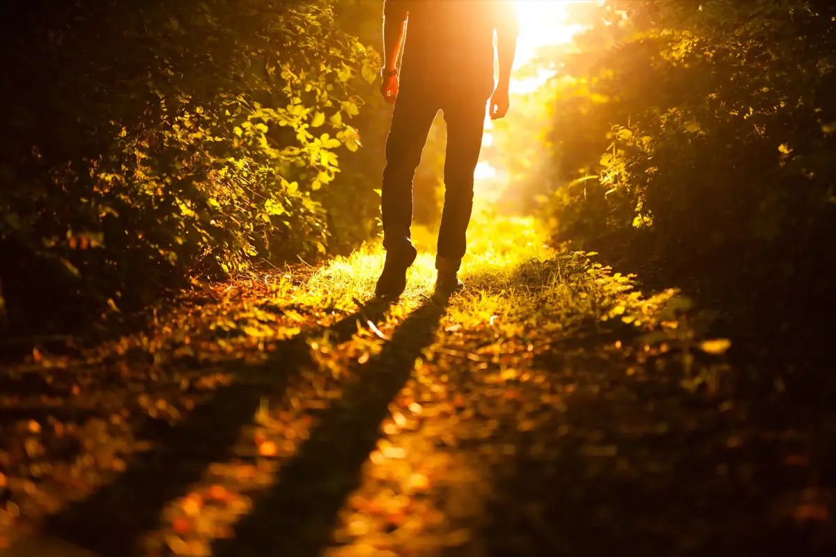 Wie können Menschen sich selbst wieder spüren lernen – Warum ist dieses Thema heute so zentral