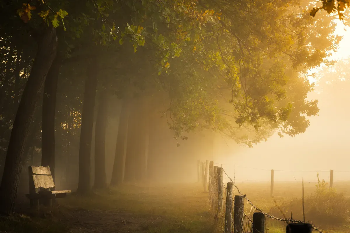 Trauer am Arbeitsplatz: Wenn Mitarbeitende einen Verlust erleben